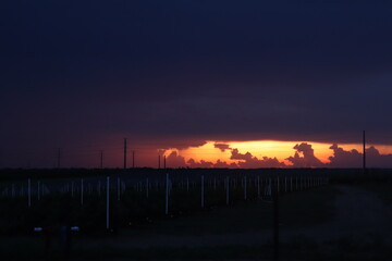 Sunset over Bluberry Farm