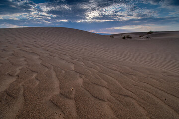 MESQUITE FLATS SAND DUNES DEATH VALLEY NP 5