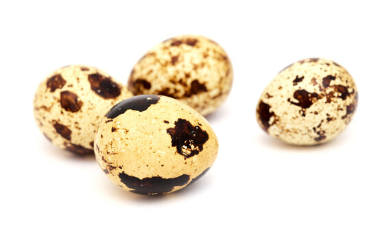 small speckled quail eggs isolated on white background
