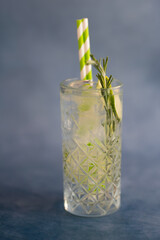 Summer fresh lemon soda cocktail with rosemary