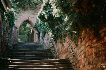 stairs to the castle