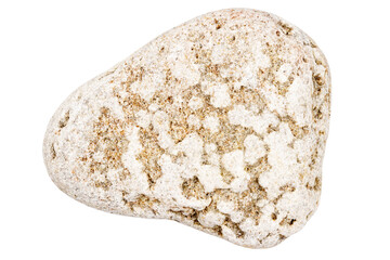 Obraz premium Single white pebble