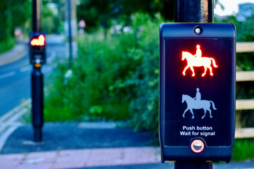 Pegasus crossing lights (red), England, UK