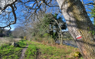Fototapeta premium beautiful landscape at Plougrescant in Brittany France