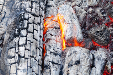 wood fire heat Bonfire close-up view