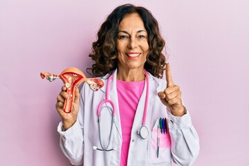 Middle age hispanic doctor woman holding anatomical model of female genital organ smiling with an...