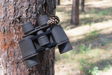 Binoculars in the forest on the tree, travel