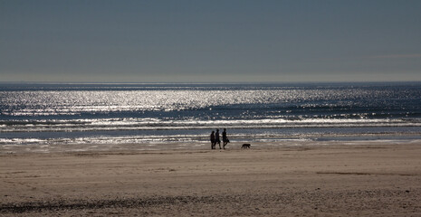 Oh what a wonderful evening , family and their dog walking alone a deserted beach as the sun sets...