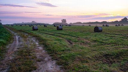 Bale siana, mgła © MagicEarthPlanet