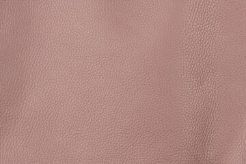 Cherry blossom pink textured smooth leather surface background, big grain