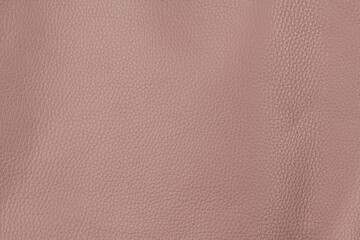 Cherry blossom pink textured smooth leather surface background, big grain