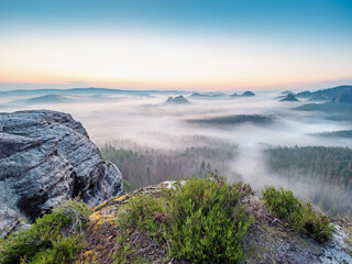 Misty Elbe Valley Sandstone Mountains or Foggy Saxon Switzerland