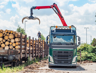 Fototapeta Road truck is loading the railway heavy wagon with spruce trunks. obraz