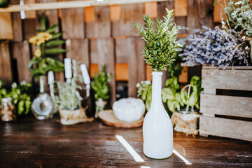 Composition of wooden rustic kitchen table outdoors with decor of plants, vegetables. Country house in summer