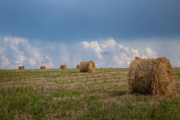 The mowed field and straw bales are laid one after the other after harvest. Against the backdrop of a cloudy sky during the rain.