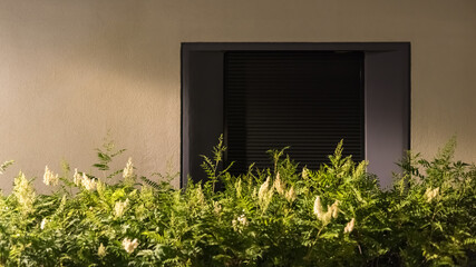 Black closed blind with green hedge in the foreground 