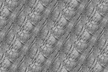 palm pattern texture structure backdrop