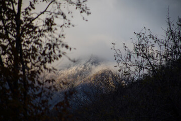Amazing view with colorful autumn forest with asphalt mountain road at sunset.