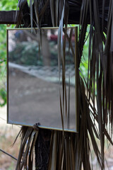 Close up view of a gold metal framed mirror hanging on a tree trunk among dry tropical leaves. Bohemian concept or design idea. Selective focus. 