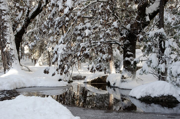 Yosemite winter scene