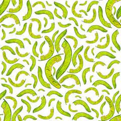 Fototapeta na wymiar banana leaf doodle line nature plant illustration isolated color yellow.