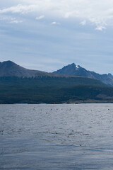 Lapataia bay landscape, Tierra del Fuego. Landscape of the Atlantic Ocean in Ushuaia, Argentina  landmark.
