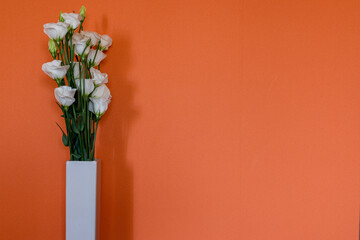 オレンジ色の壁背景のトルコキキョウの花束