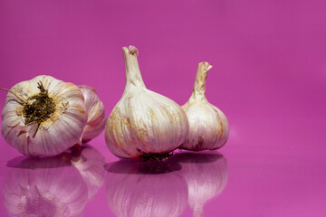 Four heads of garlic lie on a purple background. 