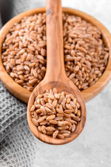 Wholegrain uncooked raw spelt farro in wooden spoon and bowl on grey stone table background, food cereal background, close up