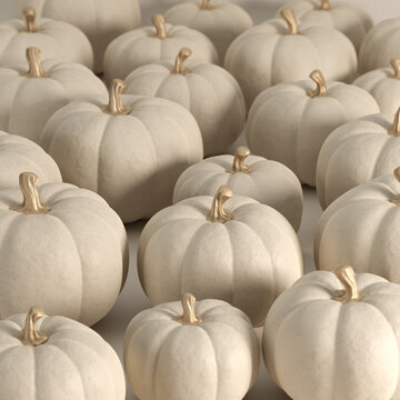 Autumn aesthetic square background with pumpkins. Postcard or banner for Thanksgiving or Halloween in a minimalist style, in pastel colors. 3d rendering.