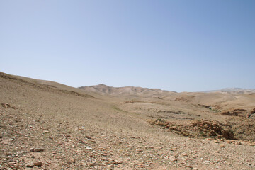 landscape in park