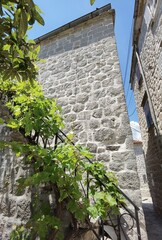 hot summer day in perast montenegro