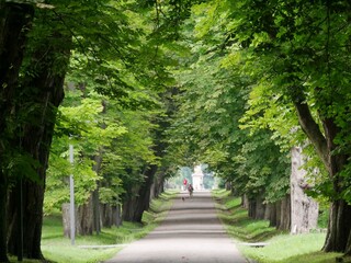 Spaziergang durch den Putbuser Schlosspark