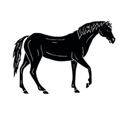 Vector hand drawn doodle sketch black horse isolated on white background