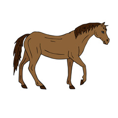 Vector hand drawn doodle sketch colored horse isolated on white background