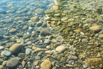 Sun glare on the water, pebbles on the seabed, nature.