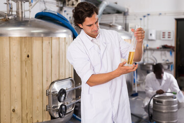 Young man expert is standing with flask for beer and analizying it in beer factory