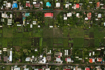 Aerial view of gardens in Russia. Overhead view of small home farms traditionally used to grow food for one family