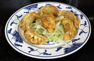 Chinese Pork Deep Fried Dumplings