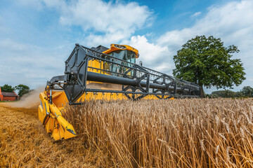 A yellow combine harvests wheat on a field in germany