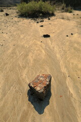 Rock isolated on textured sand with a bush - 451098408