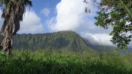 View of the rainforest and rocky mountain. Tropical Island Oahu Hawaii. Clear sunny day with white...