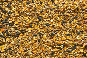 An abstract image of mixed bird seed used to feed wild birds. 