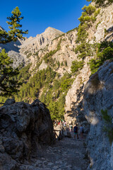 Beautiful mountain scenery of a gorge surrounded by tall cliffs and pine trees (Samaria Gorge,...