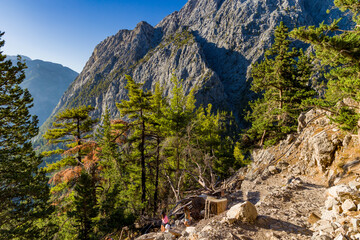 Beautiful mountain scenery of a gorge surrounded by tall cliffs and pine trees (Samaria Gorge,...