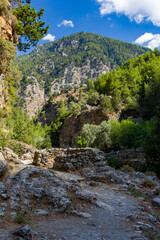 Fototapeta na wymiar Beautiful mountain scenery of a gorge surrounded by tall cliffs and pine trees (Samaria Gorge, Crete, Greece)