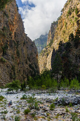 Beautiful mountain scenery of a gorge surrounded by tall cliffs and pine trees (Samaria Gorge, Crete, Greece)