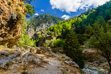 Dry riverbed and towering cliffs in a huge natural gorge (Samaria Gorge, Crete, Greece)