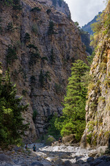 Hikers in a huge natural gorge with towering cliffs and pine trees (Samaria Gorge, Crete, Greece)