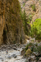 Hikers in a huge natural gorge with towering cliffs and pine trees (Samaria Gorge, Crete, Greece)